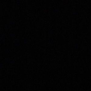 Meet your Posher, Jaylen